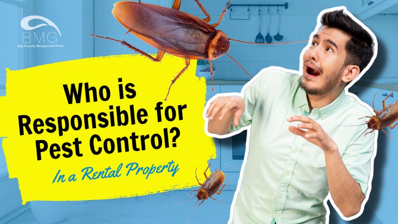 Who is Responsible for Pest Control in a Rental Property?