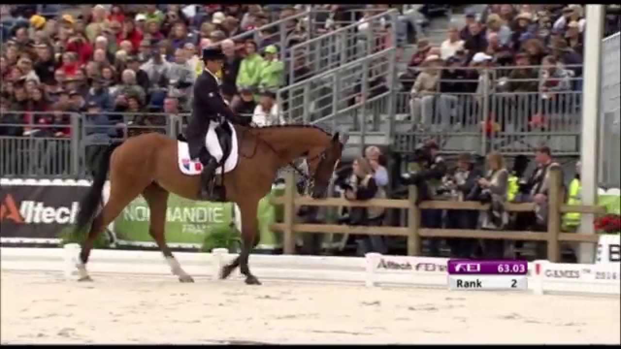JEM 2014 : Pascal Leroy aux &eacute;preuves de dressage du concours complet