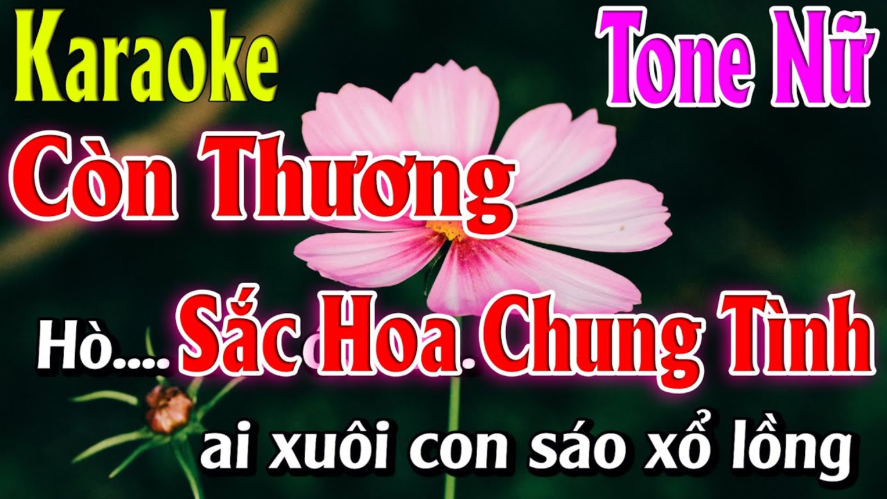 Còn Thương Sắc Hoa Chung Tình Karaoke Tone Nữ ( Fm ) Karaoke Lâm Organ | Ngâm Thơ