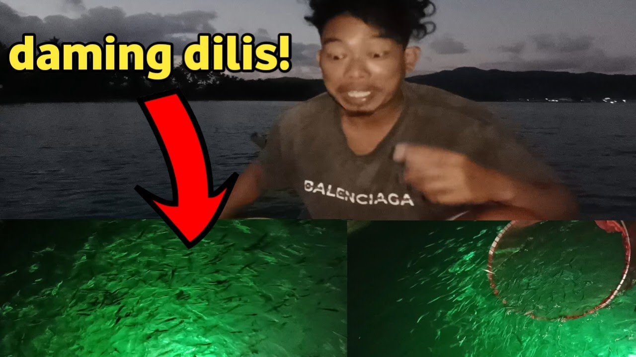 Hindi ko inasahan na napakaraming dilis ang nakasilong sa aking pa ilaw