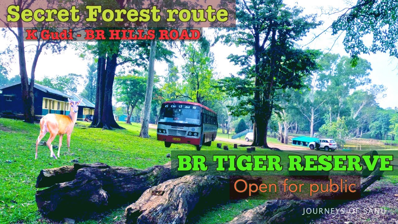 B R HILLS Forest route drive and Gypsy Safari | K GUDI | B R TIGER RESERVE