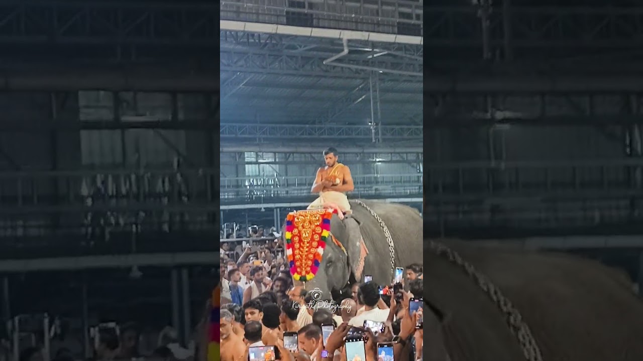 പള്ളിവേട്ട എഴുന്നള്ളത്തിൽ ഭഗവാന്റെ തിടമ്പ് ഏറ്റി ഗുരുവായൂരപ്പന്റെ ദേവി 🐘ഗുരുവായൂർ തിരുവുത്സവം.2026❤️