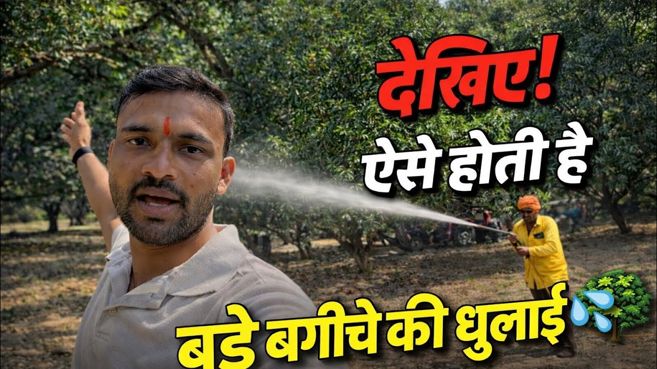 This Is How A Big Barden Is Washed||ऐसे होते है बड़े बगीचे ||🌳😱😱#Vlogvideo 