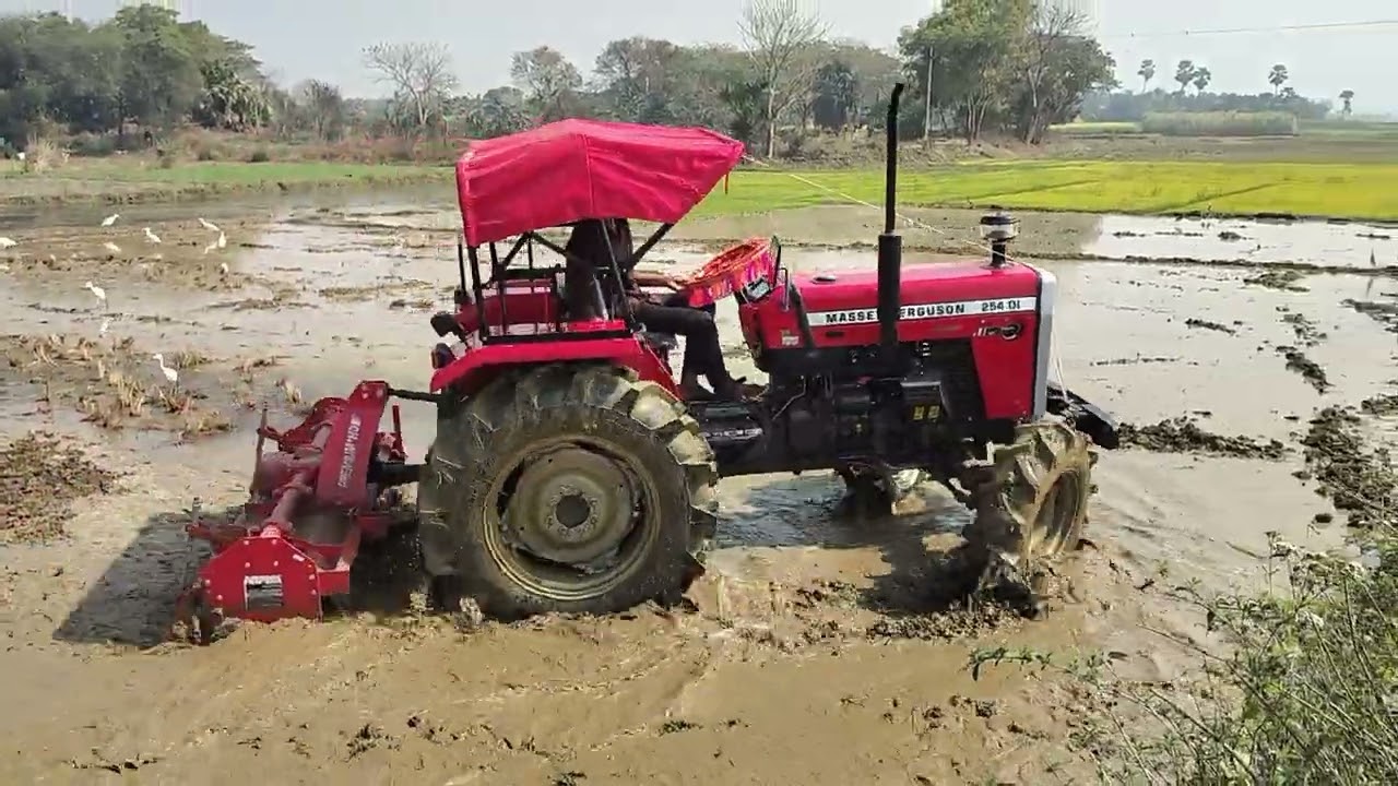 Massey Ferguson 254 Di 4wd New tractor 👑 pro ...