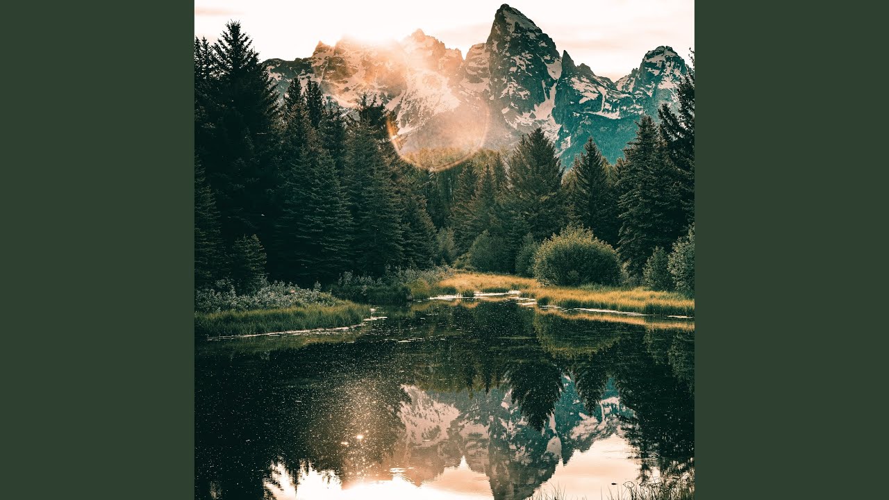 Nature Pause