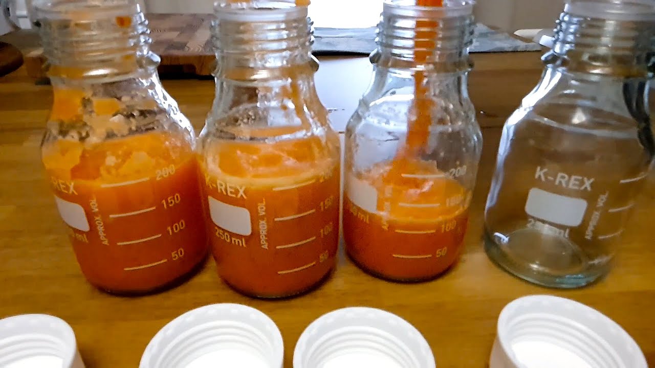 사과, 당근, 양배추 이렇게 먹으니 보약이네요~ 염증이 줄고 피부가 밝아졌어요! 암예방, 독소배출, 다이어트  CCA 주스 💯👍BELLY FAT BURNER DRINK