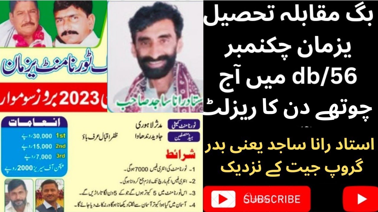 Kabootar Bazi Yazman check 56/db 4day mukamal Ustad bdar group phlay py|#pigeons #viral