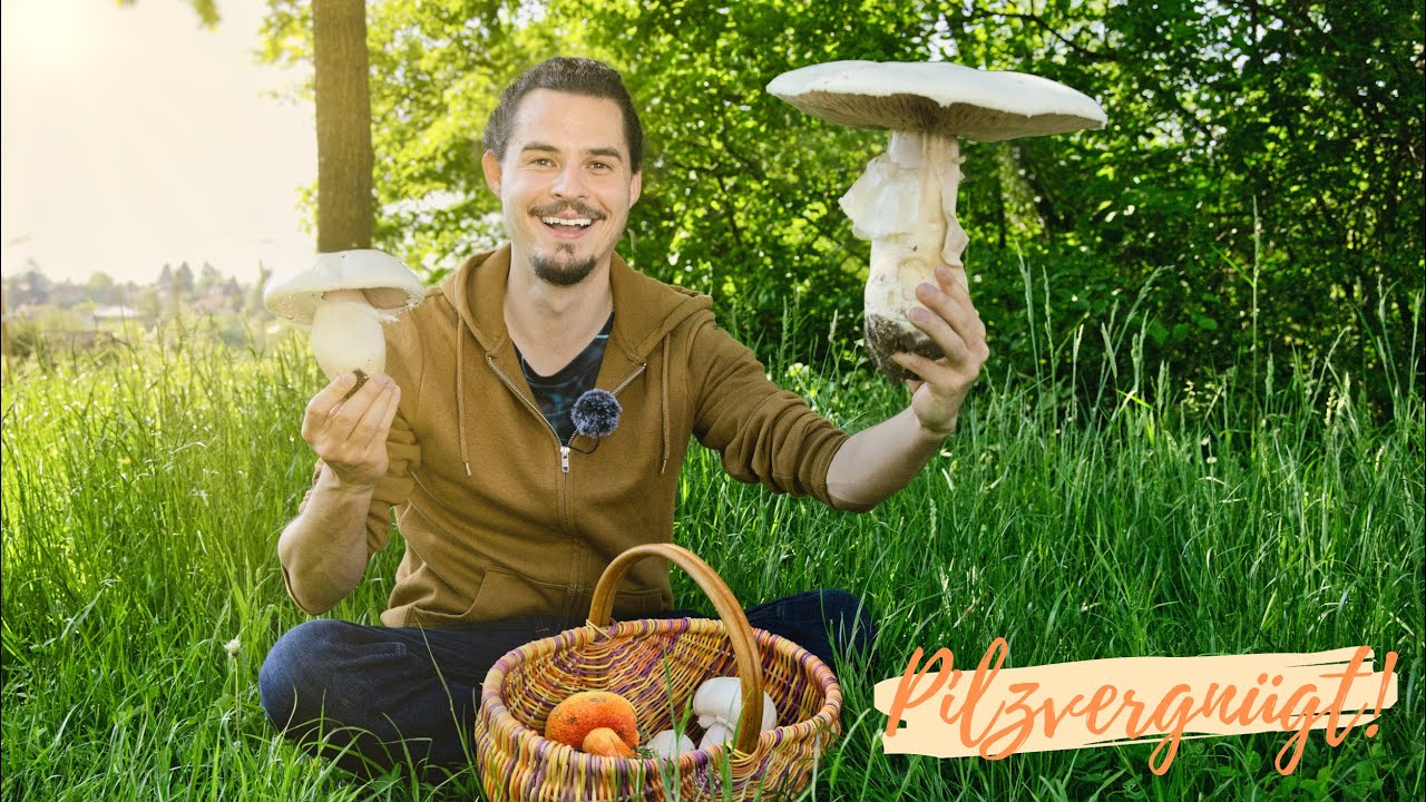 Sensationeller Sommerbeginn 😁 Gigantische Champignons, Nelkenpilze & die ersten 3 Röhrlingsarten