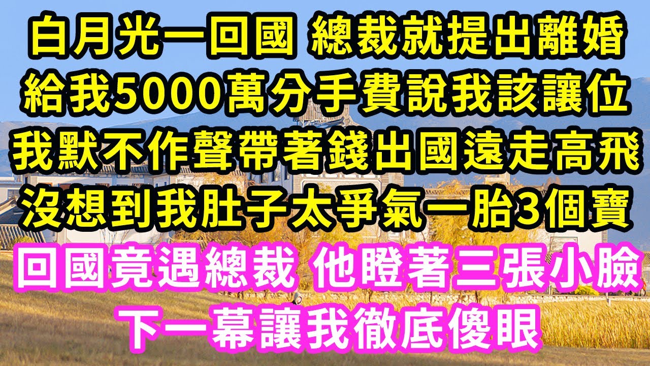 白月光一回國 總裁就提出離婚，給我5000萬分手費說我該讓位，我默不作聲帶著錢出國遠走高飛，沒想到我肚子太爭氣一胎3個寶，回國竟遇總裁 他瞪著三張小臉，下一幕讓我徹底傻眼#甜寵#灰姑娘#霸道總裁#愛情