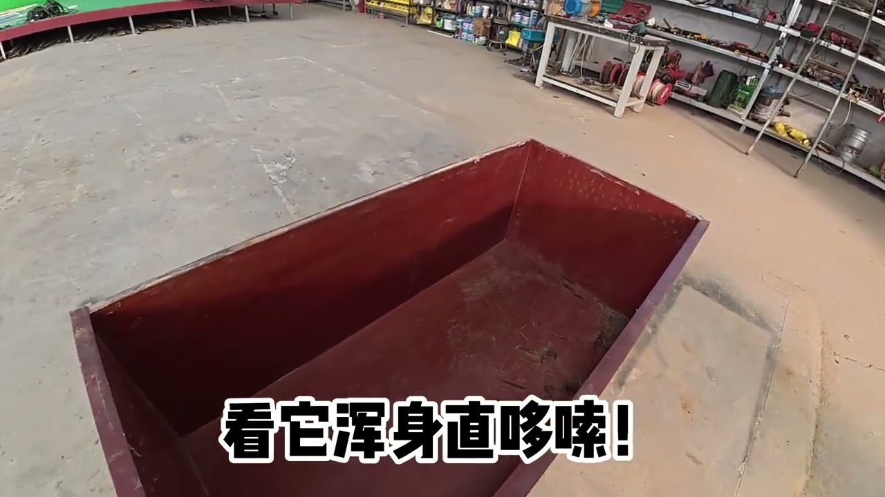 一只来自广西的中华田园犬！ #农村生活 #狗 #田园犬 #广西田园犬