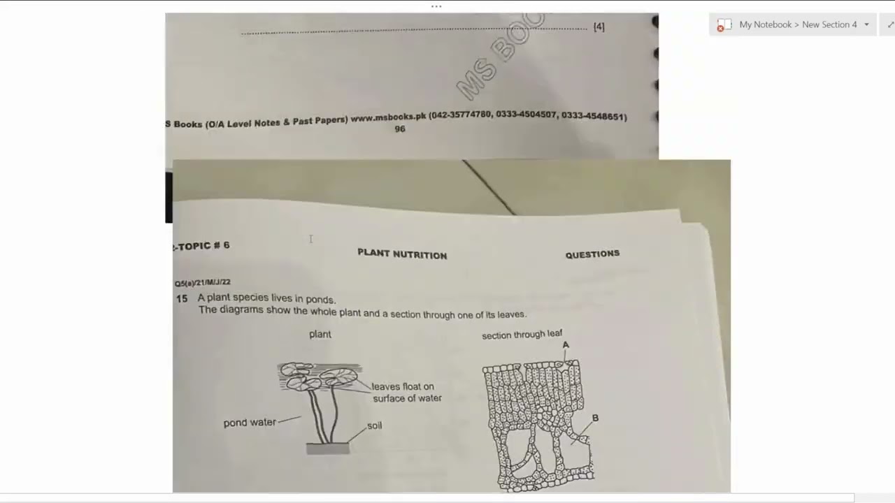 Cambridge O Level Biology 5090/22/M/J/24 - MCQ pastpaper solved