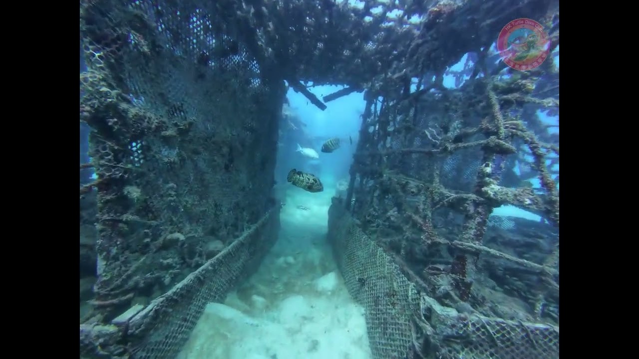 2024 March Sipadan Diving - Valley