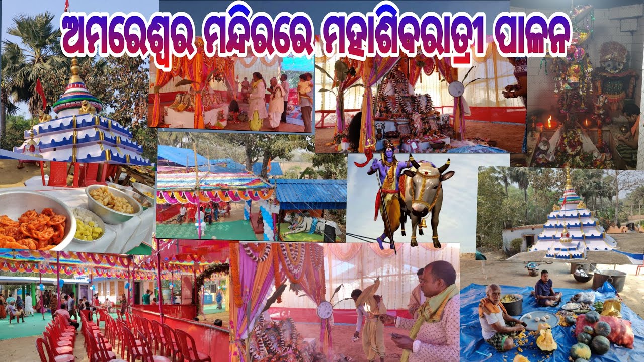 ଅମରେଶ୍ବର ମନ୍ଦିରରେ ମହାଶିବରାତ୍ରୀ ପାଳନ🙏🔱📿