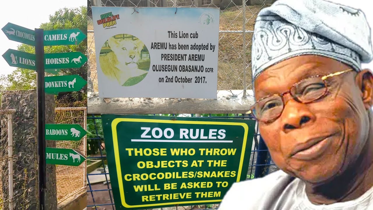 OBASANJO ZOO ABEOKUTA : OOPL ZOO #obasanjo #oopl #zoo