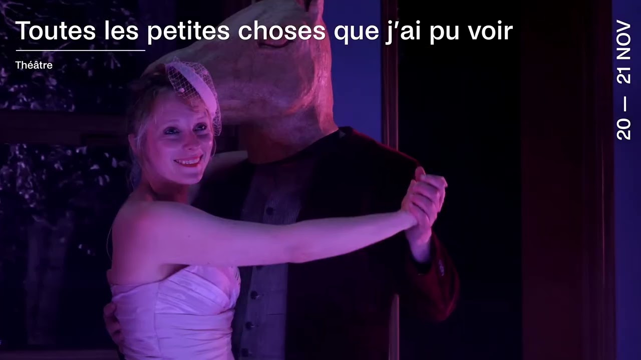 Toutes les petites choses que j'ai pu voir / Raymond Carver & Olivia Corsini - teaser