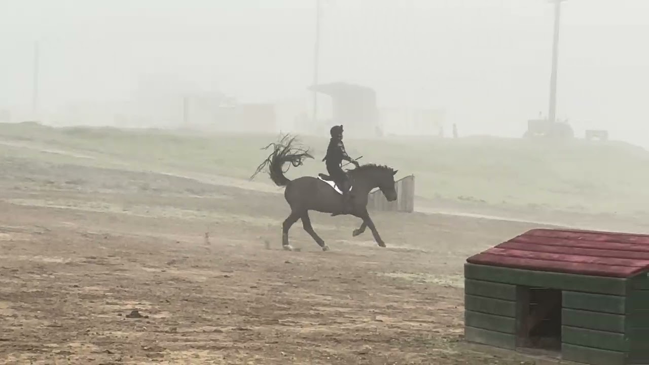 Star and Jam XC schooling 