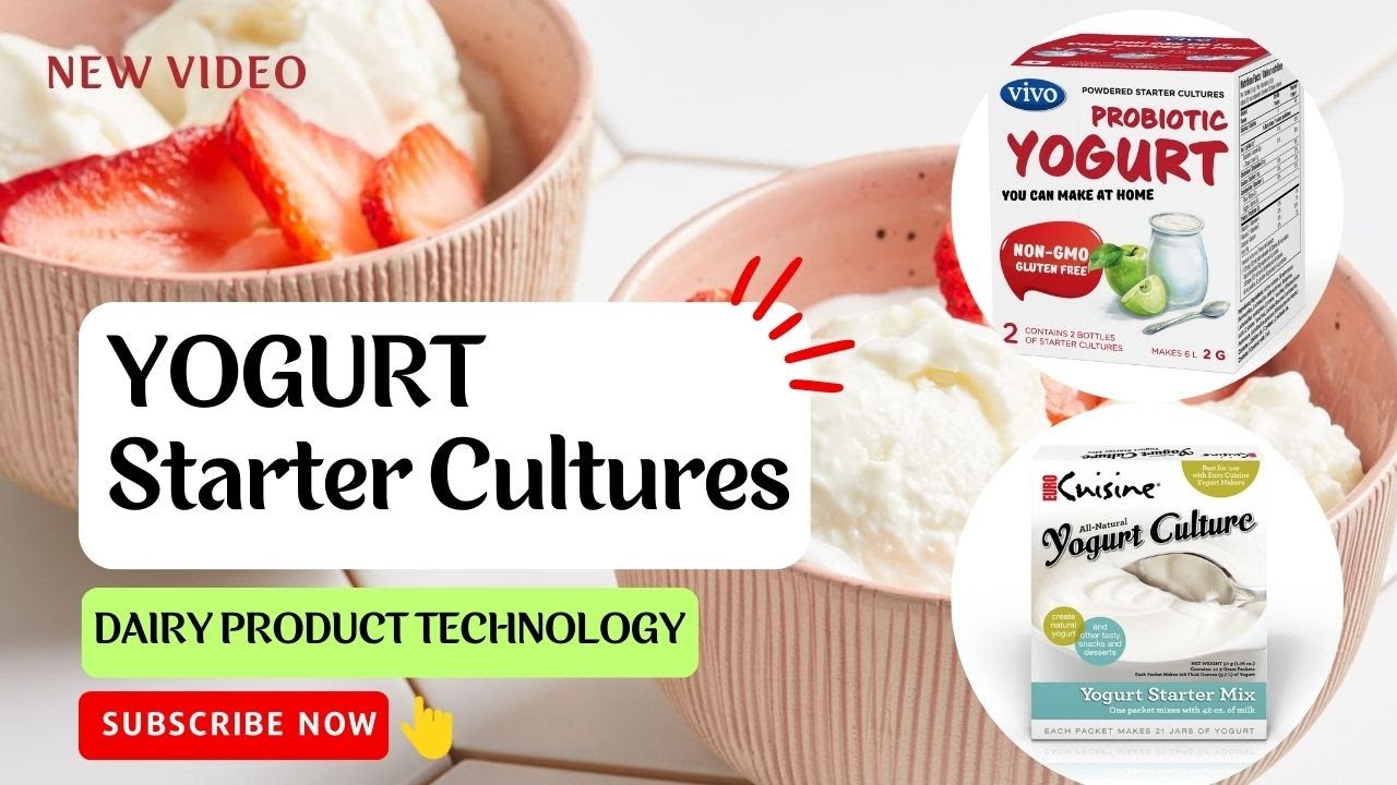 Yogurt Cultures | Starter Cultures | Yogurt Processing | Food Science and Technology #yogurt