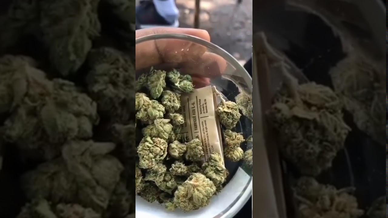 Afghan Kush... Top weed