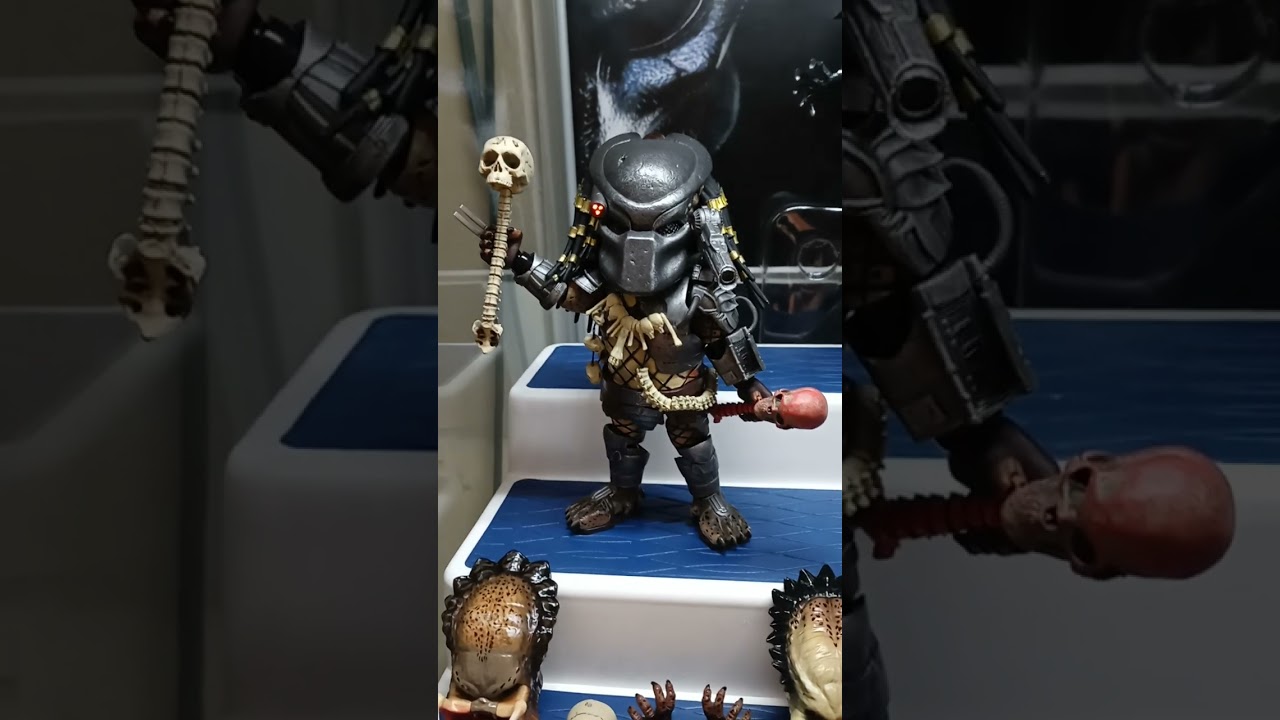COLLECTION UPDATE - HEROCROSS ALIENS/PREDATOR CASE