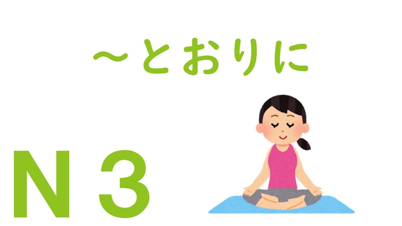 【Ｎ３文法】～とおりに