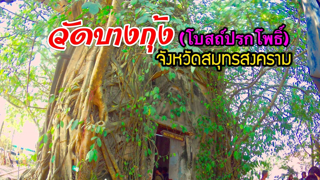 วัดบางกุ้ง อันซีนโบสถ์ในต้นไม้ อ.บางคนที จ.สมุทรสงคราม Wat Bang Kung , Samut Songkhram , Thailand