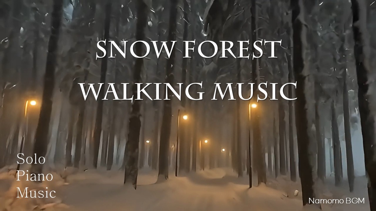 [Playlist] Piano music/Forest Music/White Silence Music/힐링음악/피아노음악