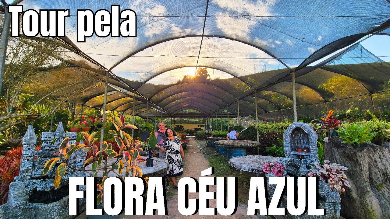 TOUR PELA FLORA CÉU AZUL: PLANTAS LINDAS E EXÓTICAS | FLORICULTURA NA LAJINHA EM TEÓFILO OTONI 