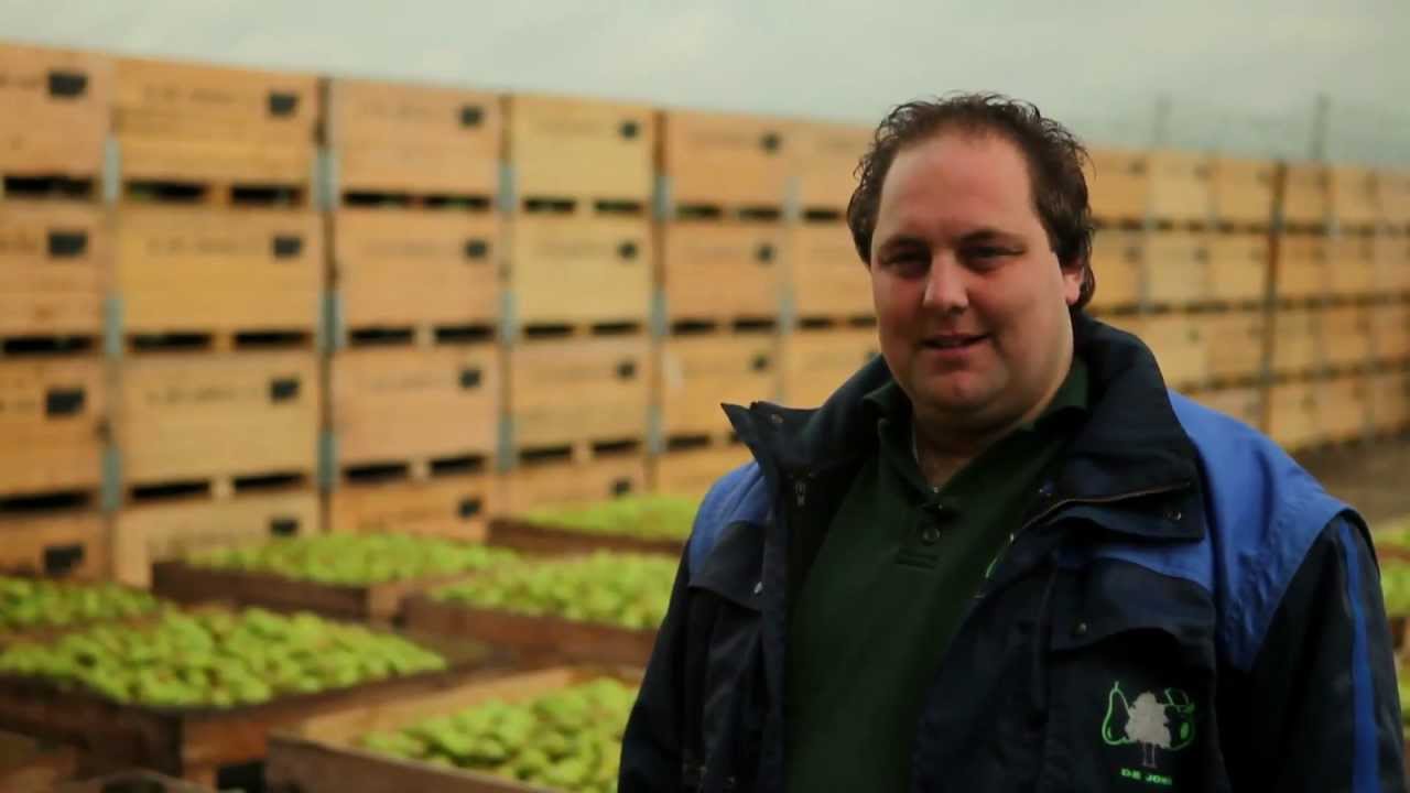 Hoe is de oogst van appels en peren? | Bidfood