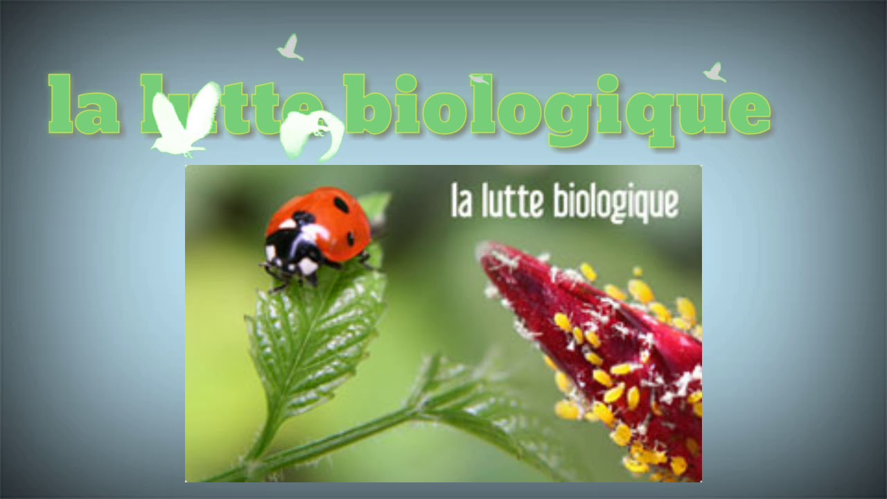 la lutte biologique