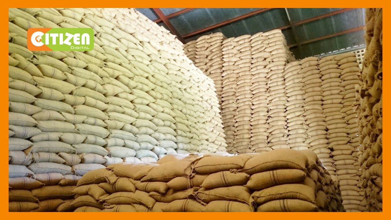 Experts welcome new regulation on maize imports