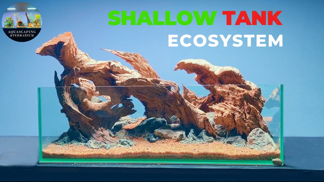 Shallow Tank Setup With No Co2 (Step by Step Aquascape Tutorial)