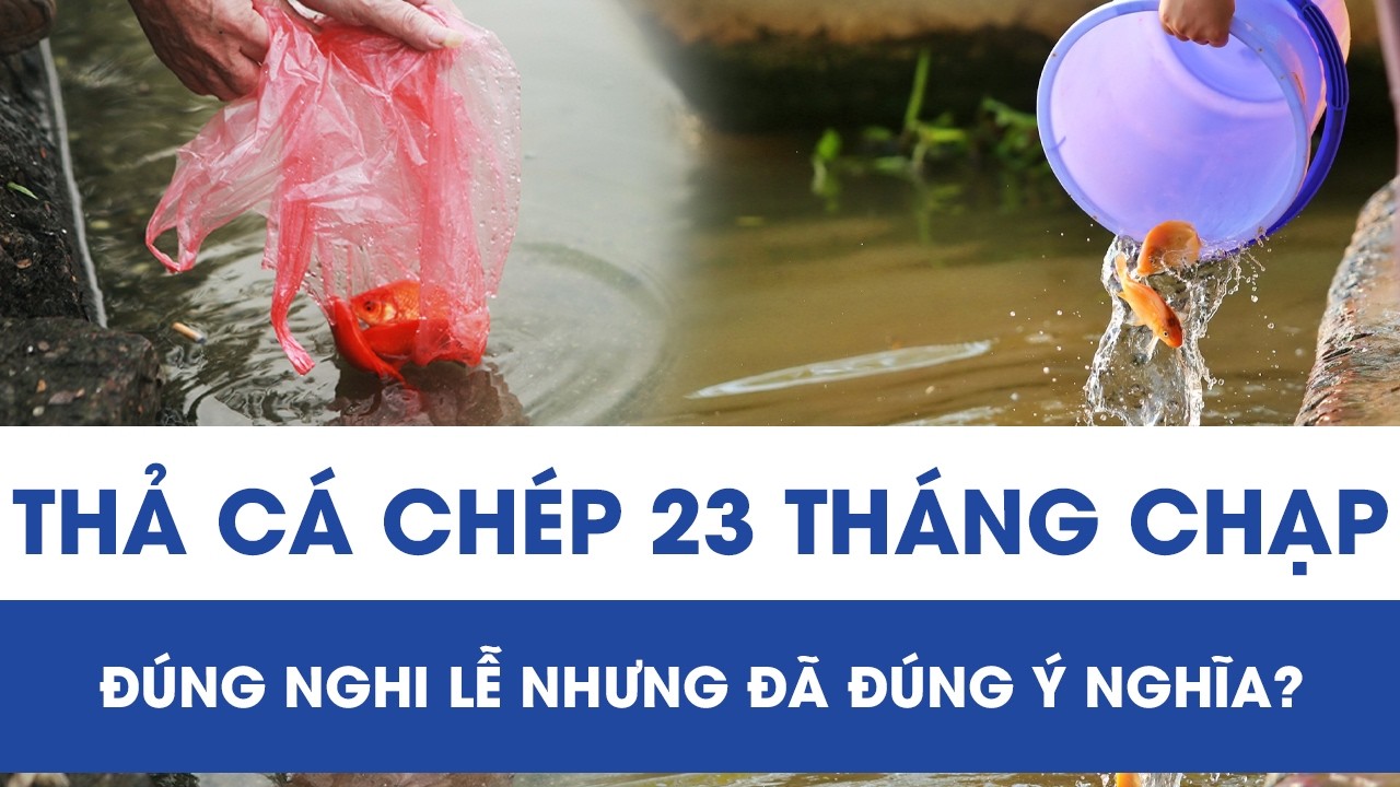 Người dân thả cá chép tiễn ông Công ông Táo về trời: Thả để cá được sống, không phải để mình yên tâm