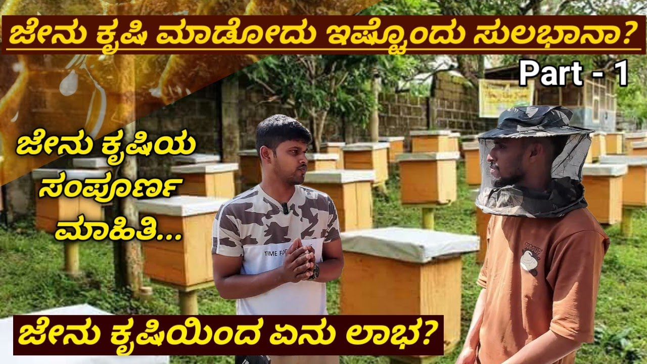  ಜೇನು ಕೃಷಿ ಮಾಡೋದು ಹೇಗೆ | How to start Honey bee farming in kannada #agribusiness 