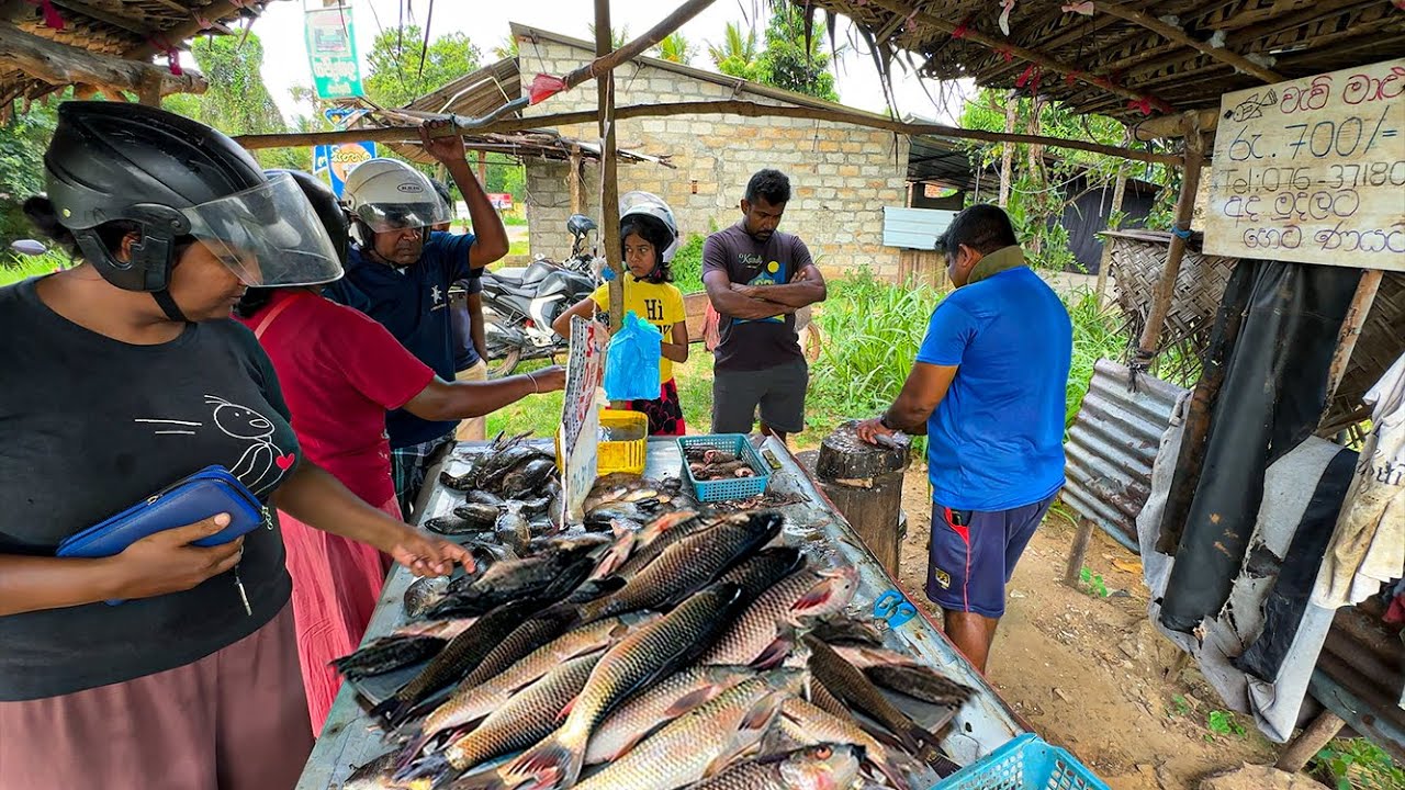 A Small Wonderful Fish Market surrounded by paddy field| Tilapia Fish Cutting in a traditional style