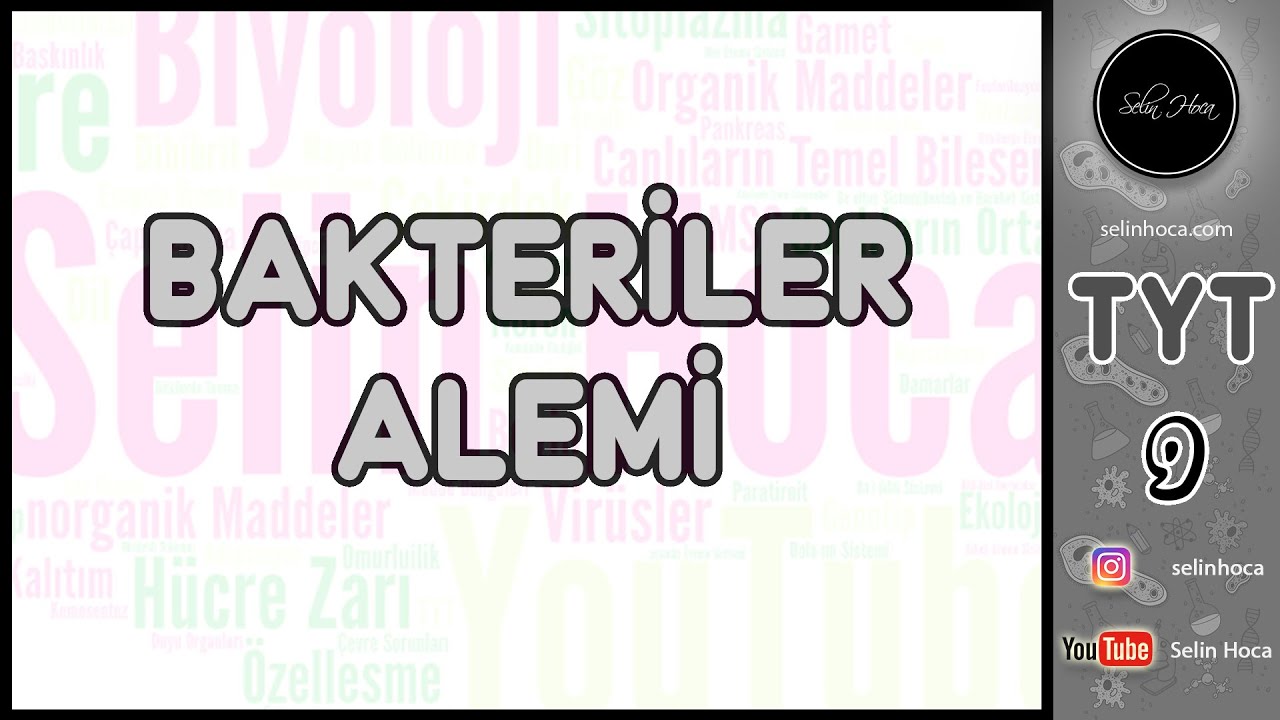21) Bakteriler Alemi