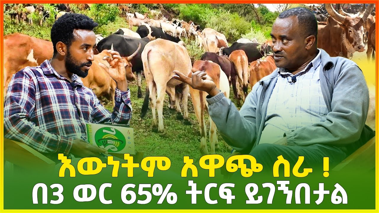 በ15 ሺ ብር ገዝቼ 55 ሺ ብር ሽጫለው ! 1500 ብር ወደ 15 ሺ ብር መቀየር ይቻላል |ከባለሀብት ጋር የተደረገ ቆይታ |business idea