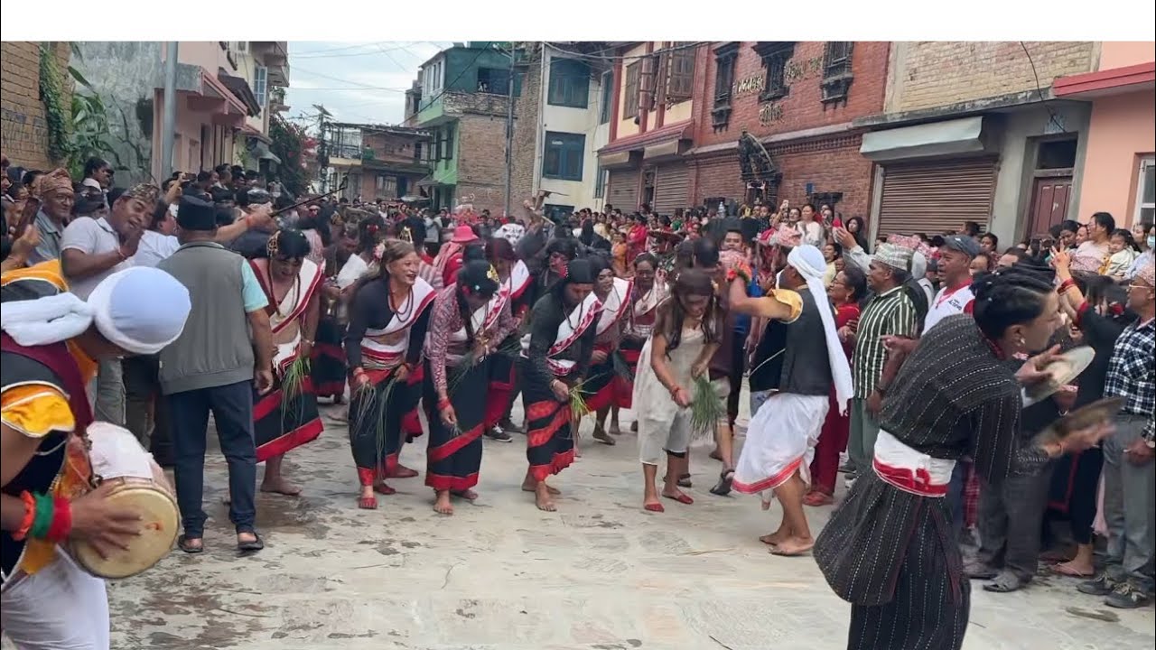 Gaijatra at manamaiju . #culture #newariculture #ropaijatra