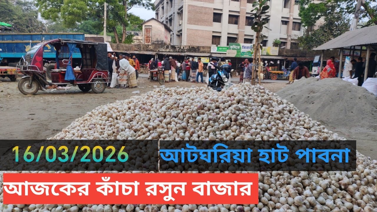 16 March 2026 আজকের রসুনের বাজার দর । Garlic market price rate today in pabna Bangladesh 