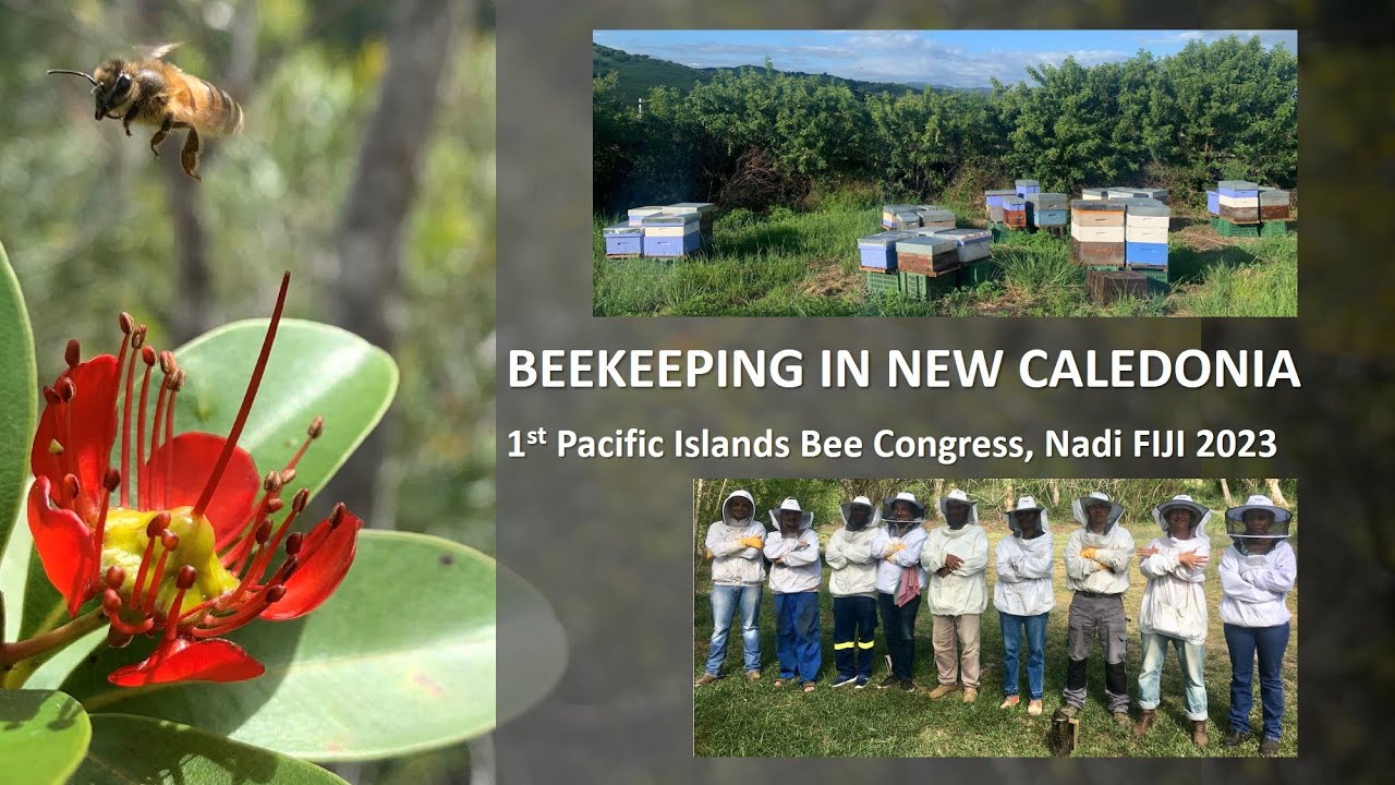 Beekeeping in New Caledonia - Country Profile