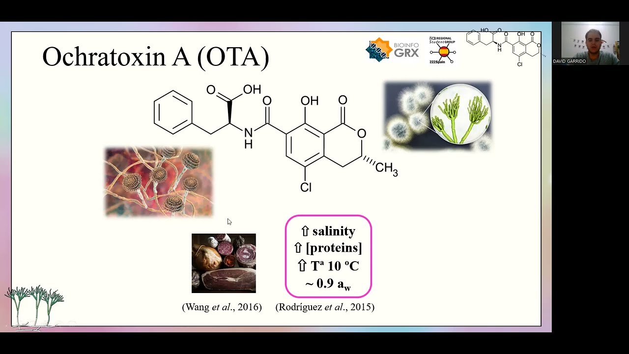 I Concurso Graphical Abstract. Primer Premio. David Garrido