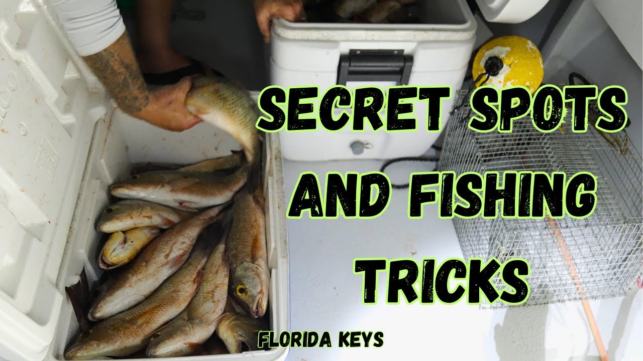 Night Fishing for Mangrove Snapper in the Florida Keys!