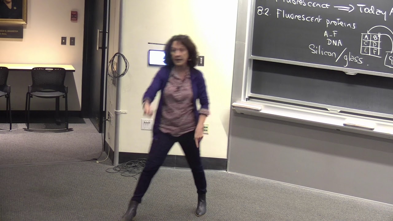 28. Visualizing Life - Fluorescent Proteins