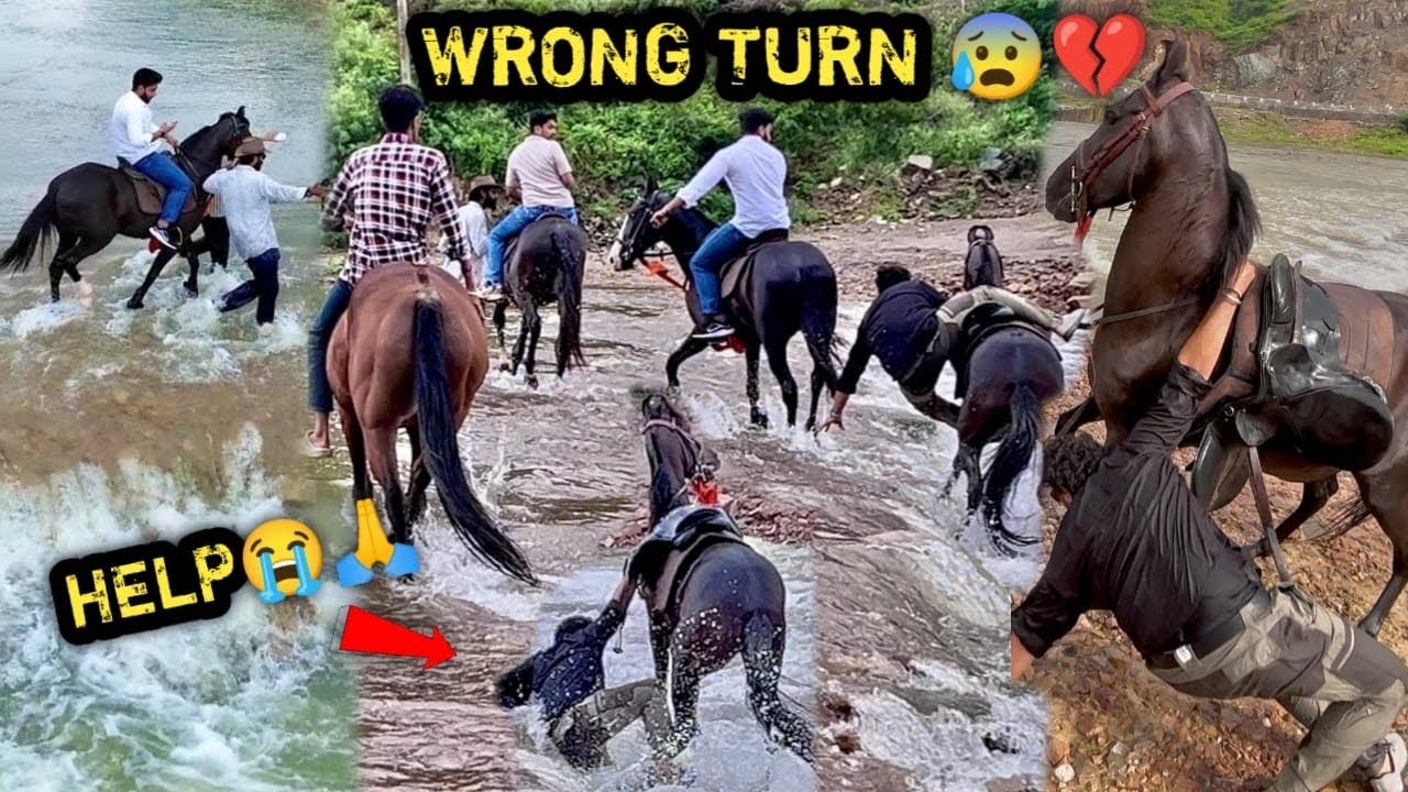 PLEASE HELP US🙏🏻🔥Y£ PAGALPAN HA! 😱RAJASTHAN K£ B!HAD JUNGLE MA! GALTI KRD! 0R NAD! MA! GIR GY£ GH0DE