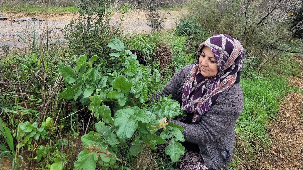 OVALARDAN ÇEŞİTLİ OTLAR TOPLADIK☘️🍀🌱