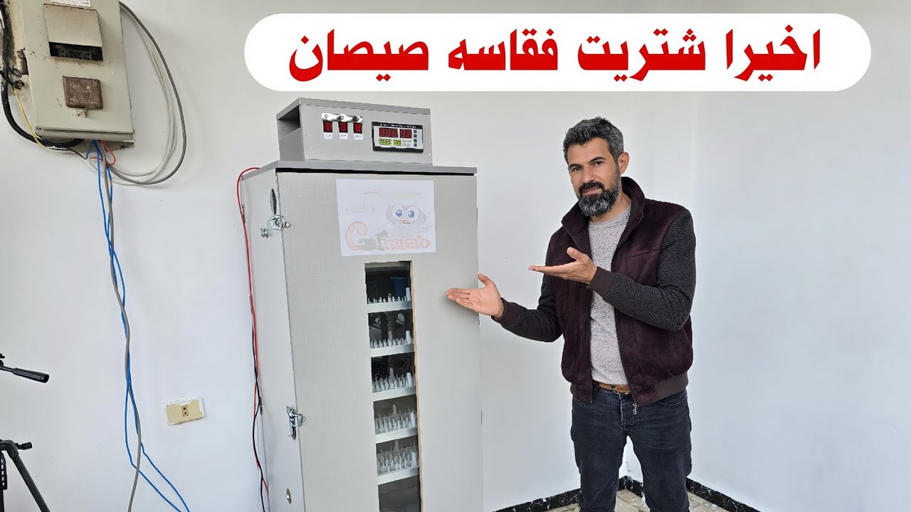 شتريت فقاسه صيصان ماتوقعت هيك حجمها كبير  بلشت ابني لها غرفة خاصه