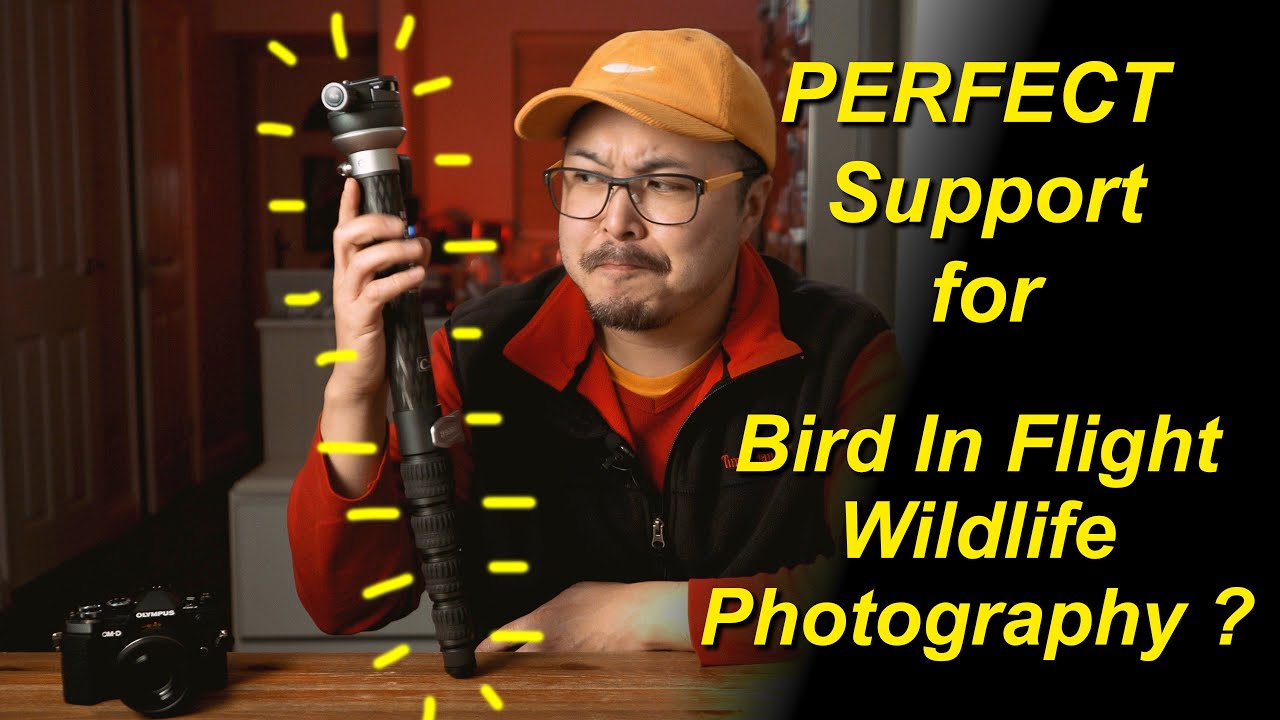 Monopod BENRO SupaDupa Pro Carbon &ndash; sprytny kij do ciężkich obiektyw&oacute;w i sprzętu &ndash; recenzja RED35