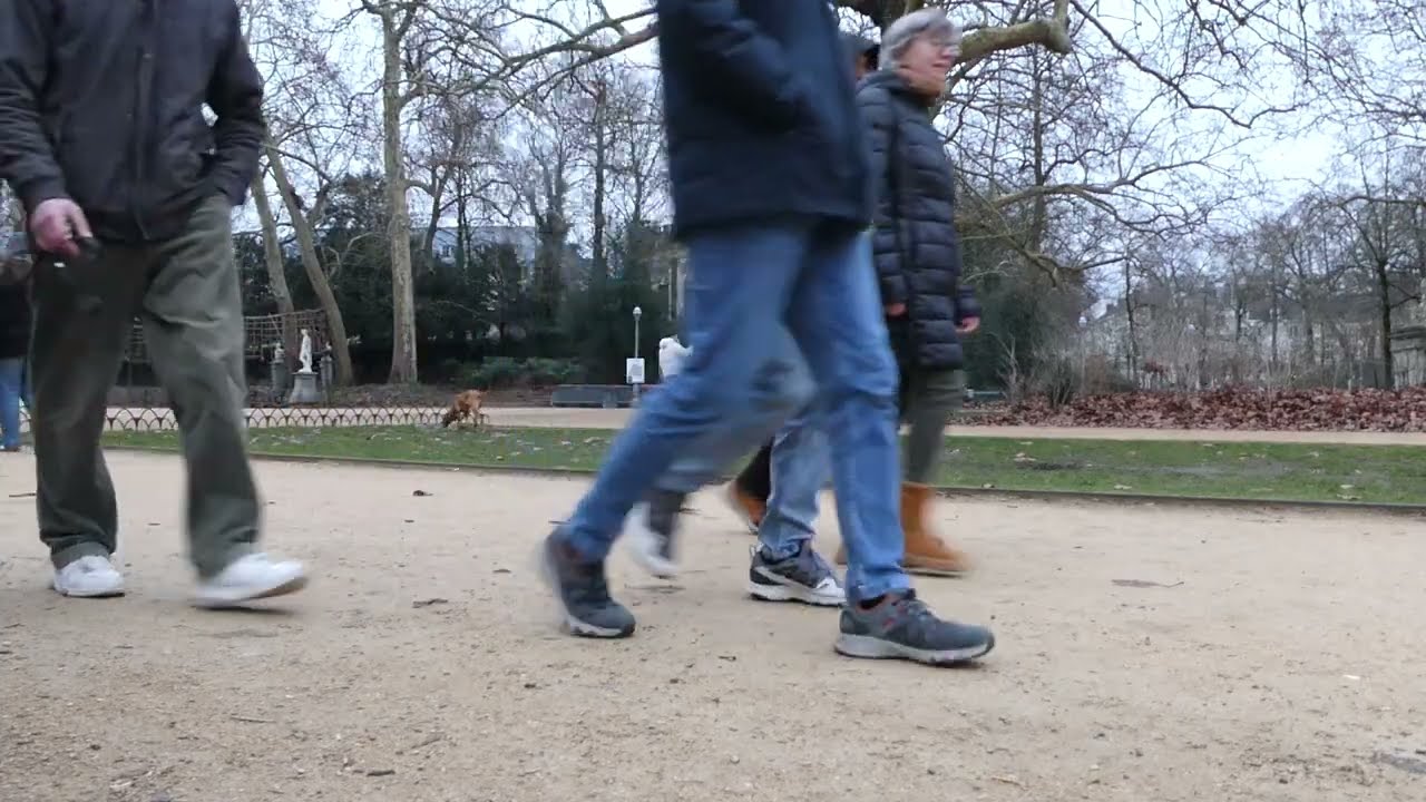 Au ras du banc : La vie qui passe au Parc de Bruxelles