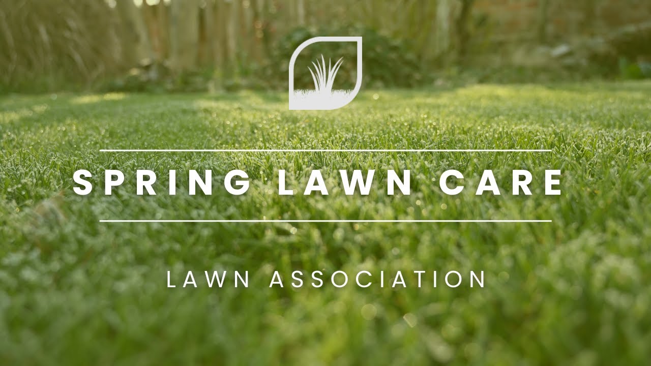 SPRING LAWN CARE | SCARIFICATION EXPERIMENT | MAN VS NATURE | Lawn Association