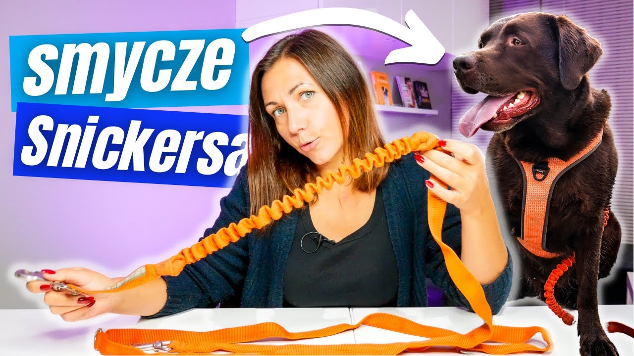 Jaka smycz dla psa? | Smycze Snickersa
