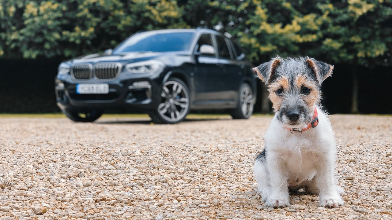 I Got A New Daily And A Puppy! [BMW X3 M40i]